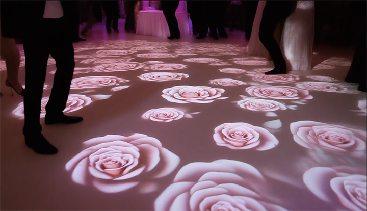 Video projection of roses